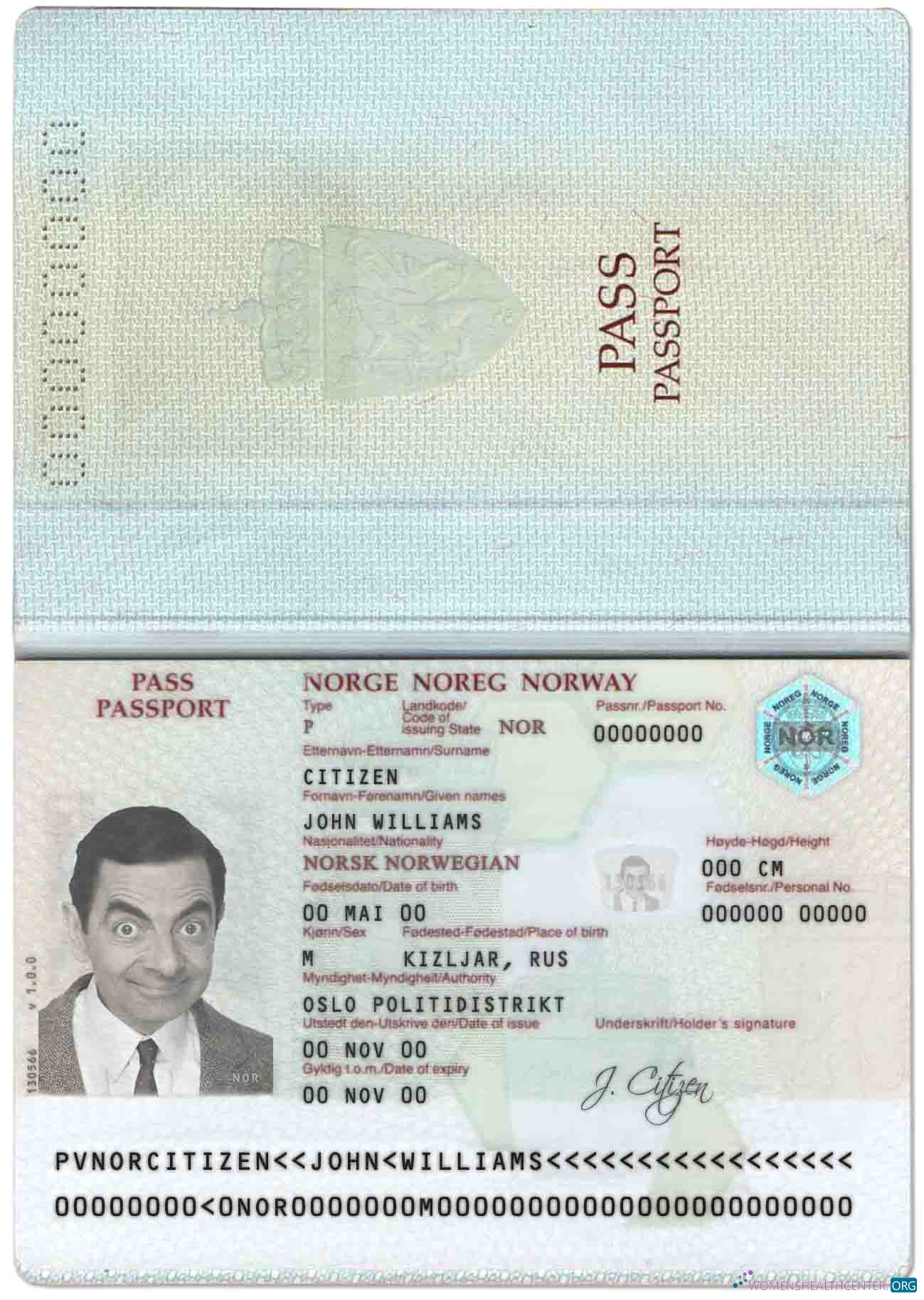 Angola LNG proof of address utility bill template in Word and PDF format